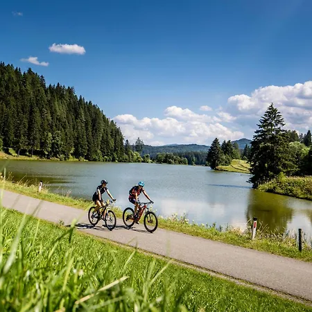 Apartment Bergresort By Alps *