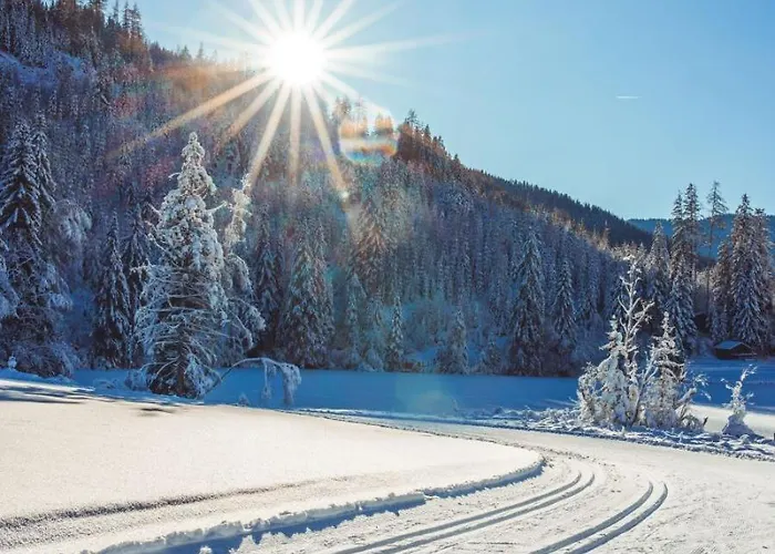 Bergresort By Alps 公寓 *