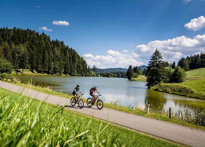 Apartment Bergresort By Alps *